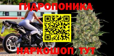 скорость Пугачёв