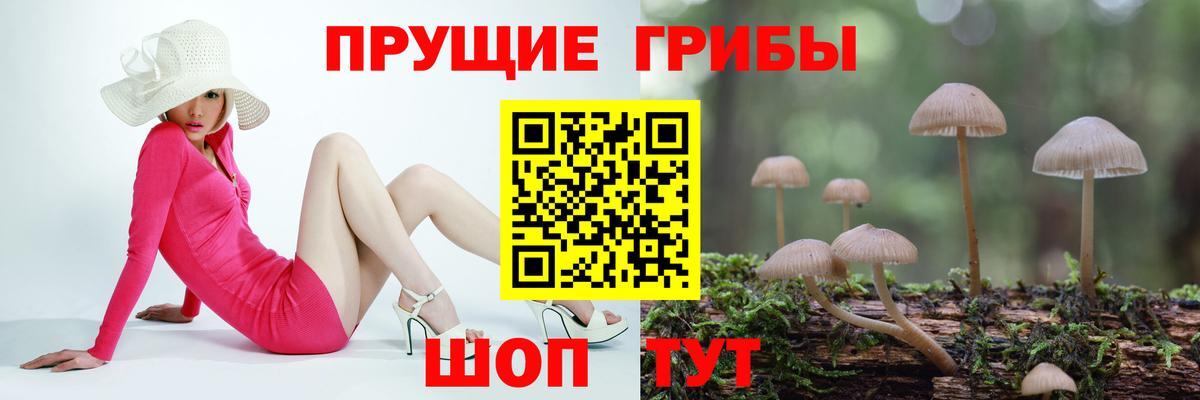 Псилоцибиновые грибы Cubensis Стрежевой